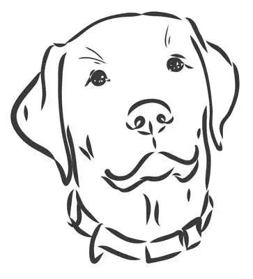 Lab