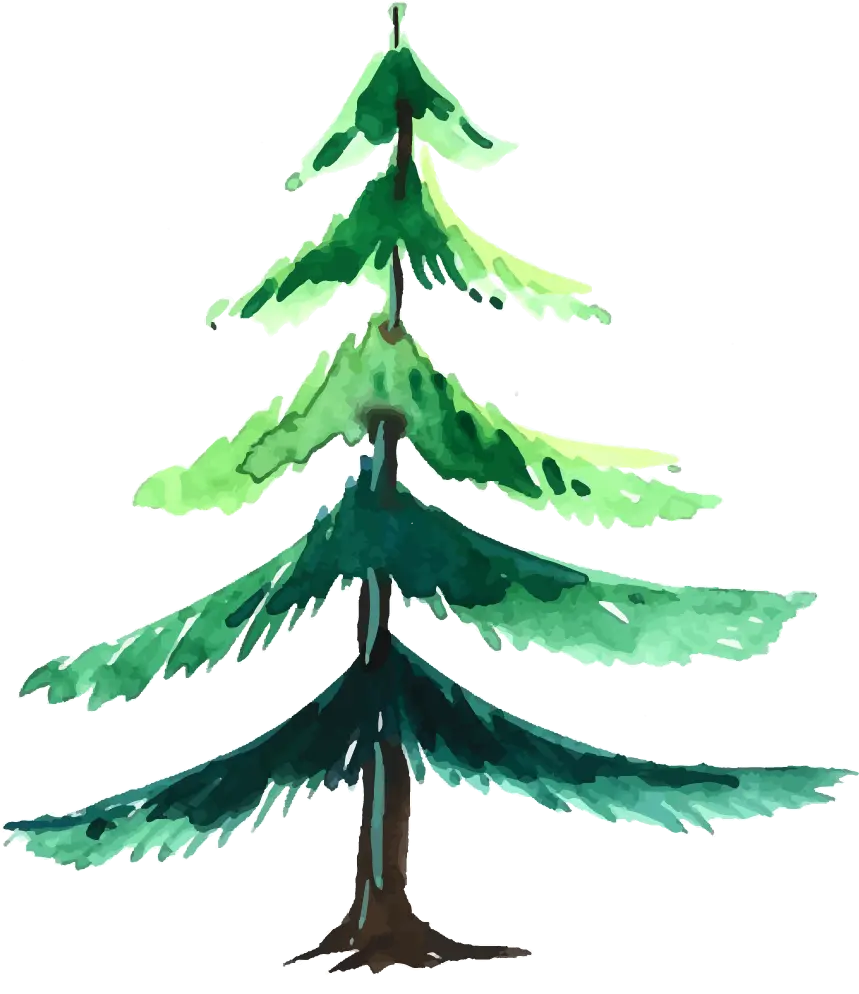 Trees