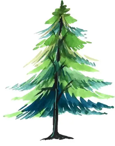 Trees