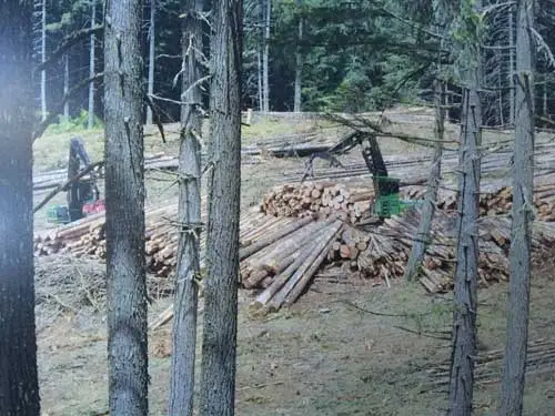 log deck