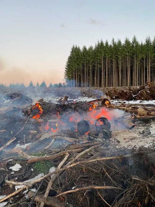 Slash burning.